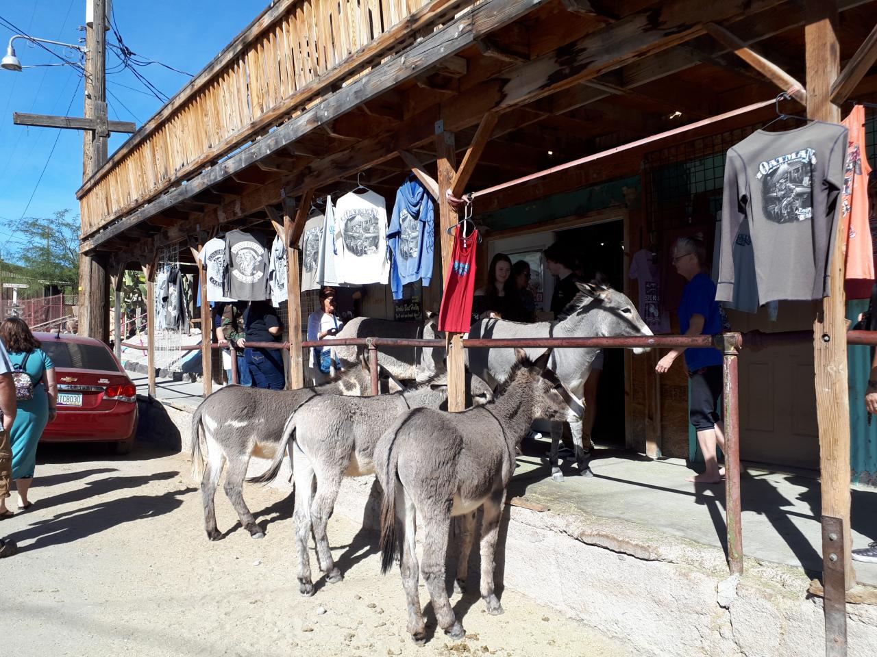 OATMAN 