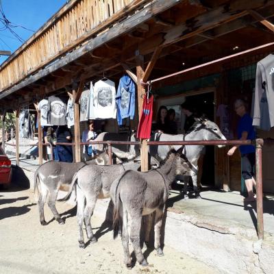 OATMAN 