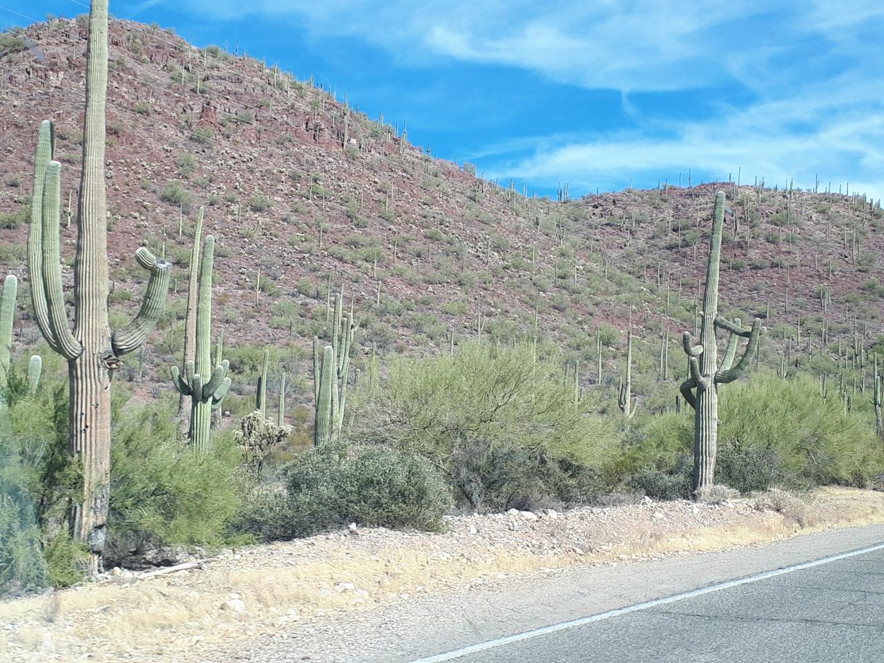 TUCSON ARIZONA