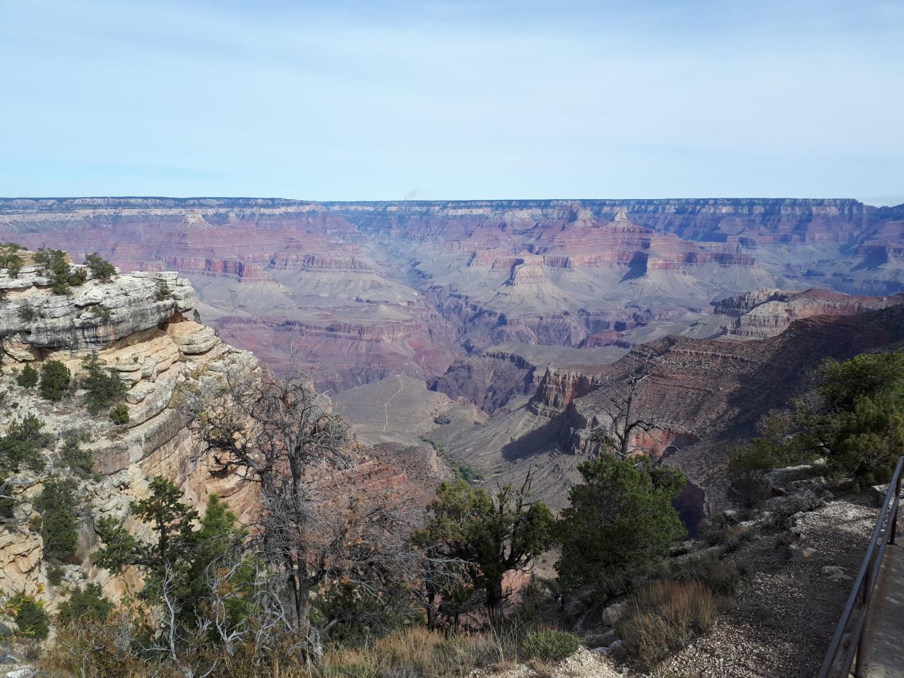 GRAND CANYON