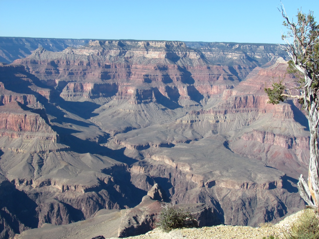 le grand canyon