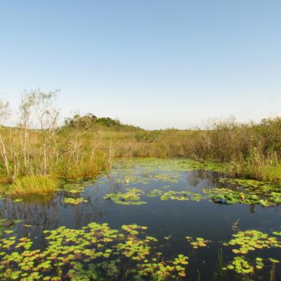 sur la route de Flamingo