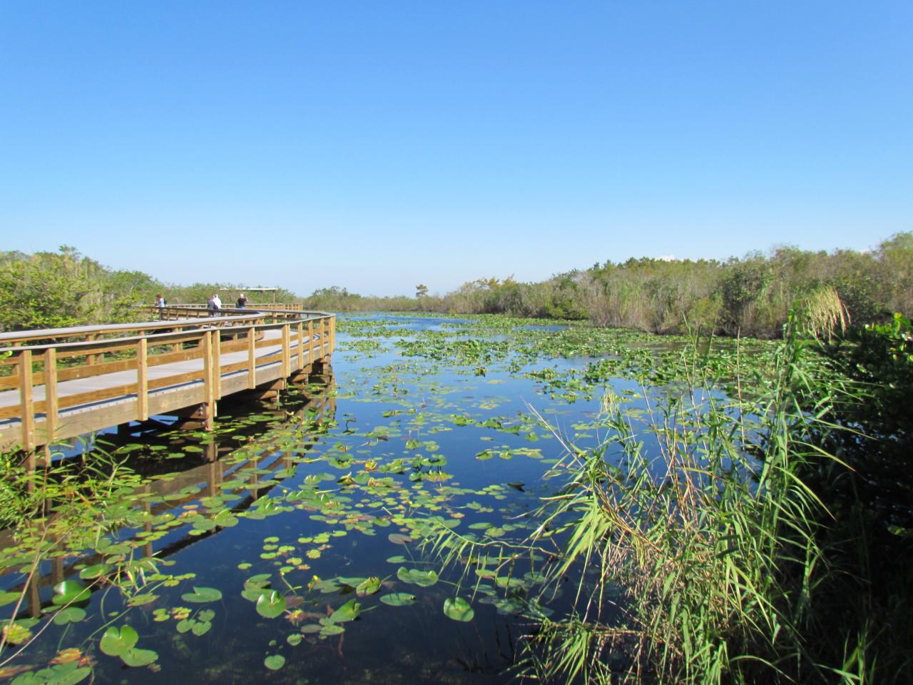 sur la route de Flamingo