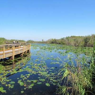 sur la route de Flamingo